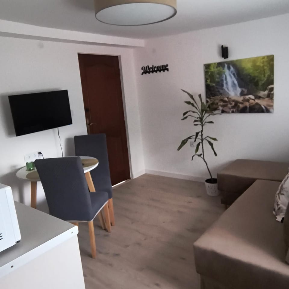 Apartament Palmowy Harnaś Apartment in Lesser Poland Voivodeship