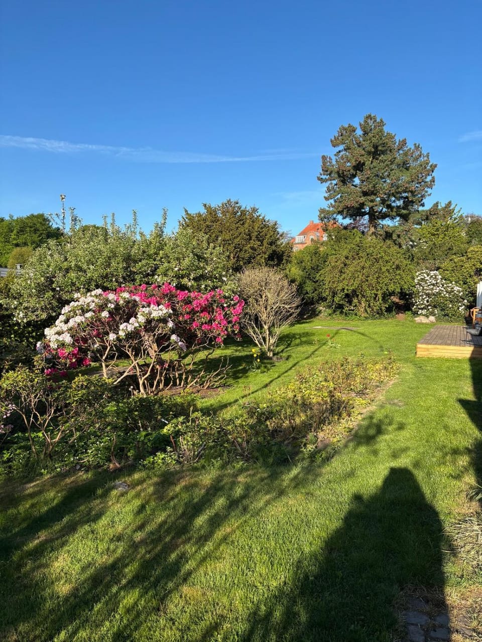 Garden, Garden view
