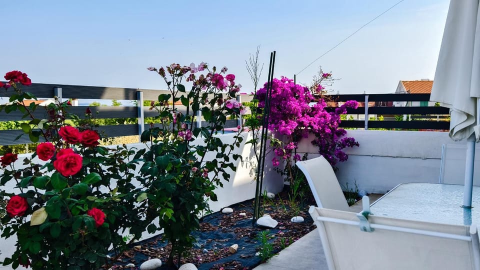 Nikiti Family House House in Nikiti