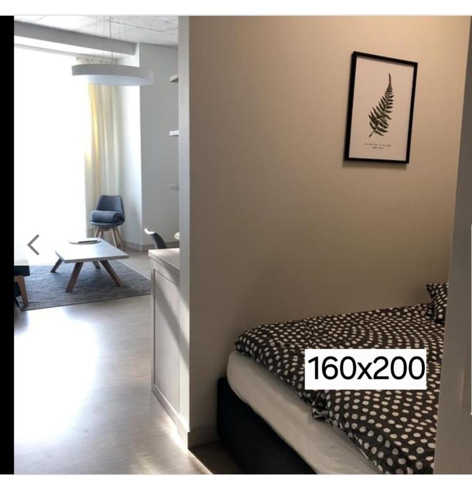 HaPPy Inn PLENTIFUL OLD Town Studio, Self check-in, AC, Parking in the underground Garage Apartment in Vilnius
