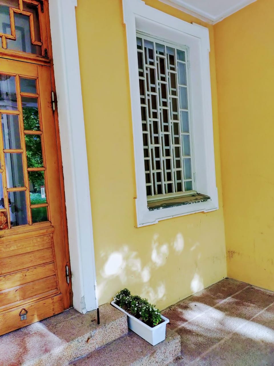 Property building, Day