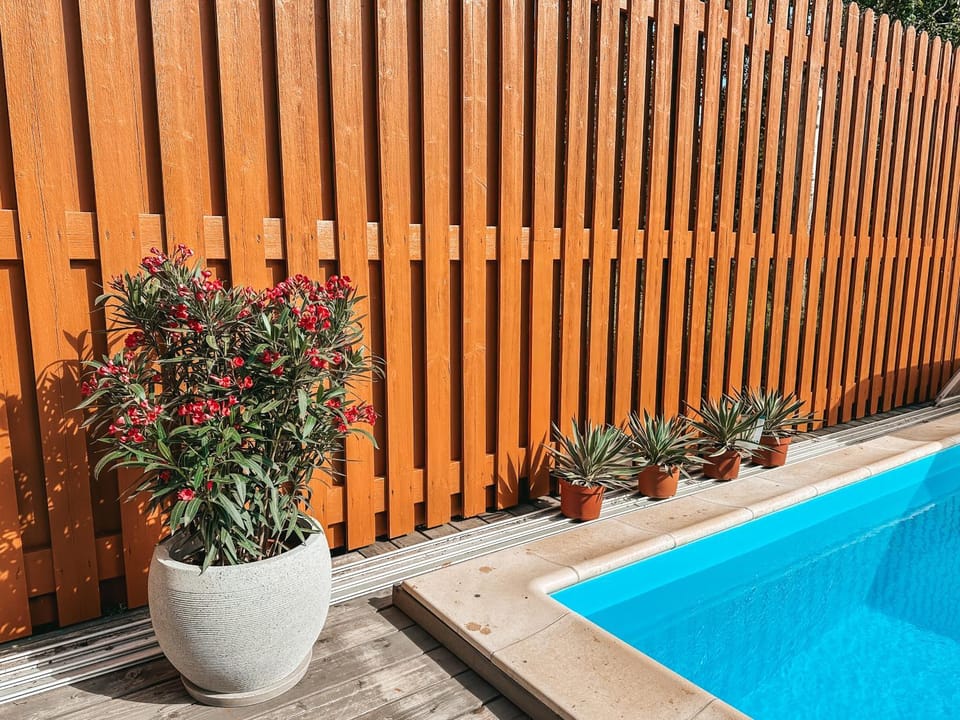 Vila Ambasada Villa in Palanga