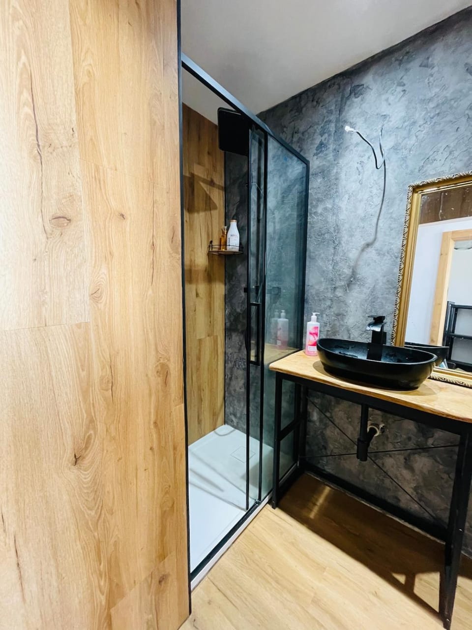 MFF Karlovy Vary Apartment in Saxony