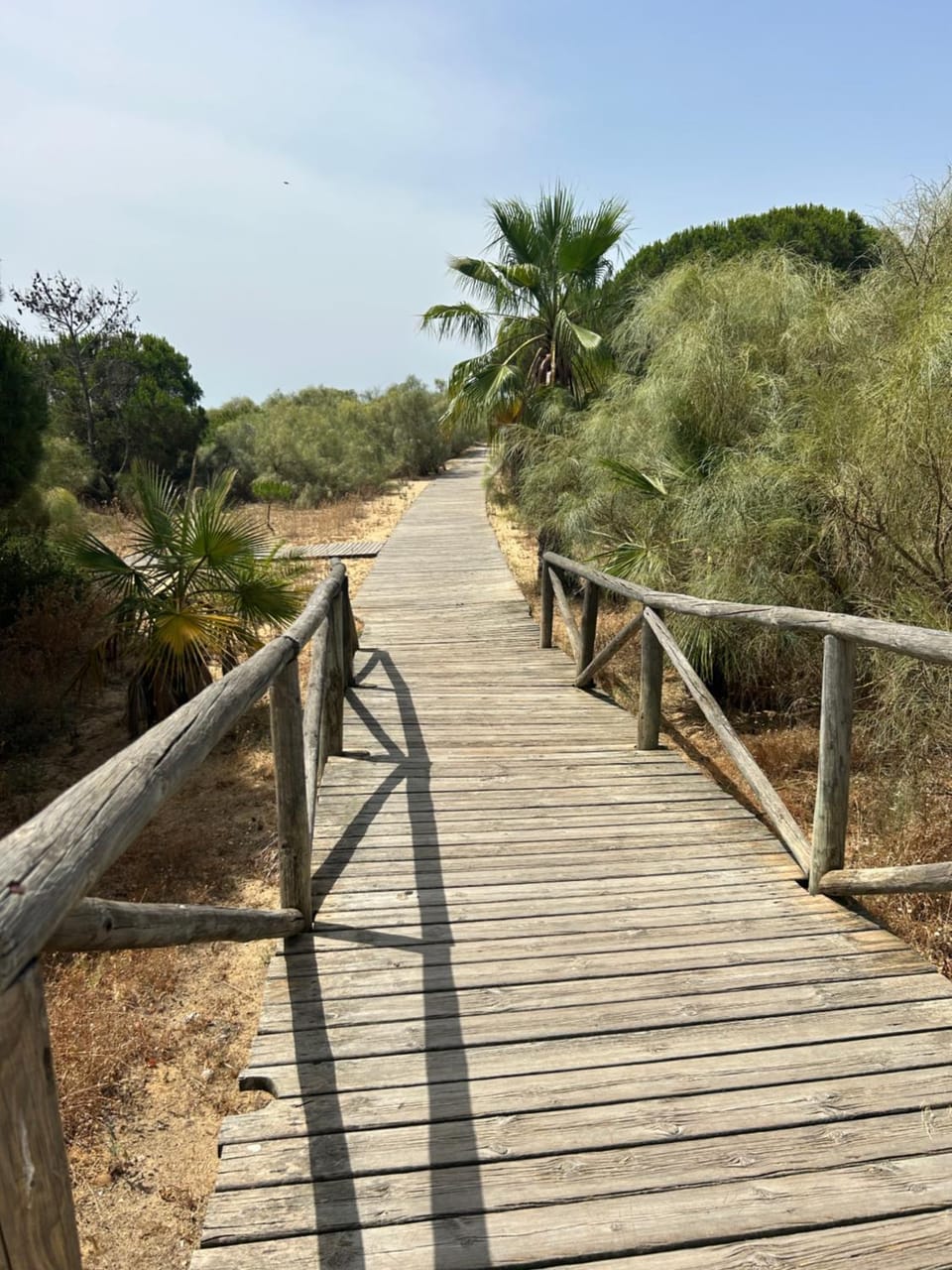 Apartamento a pie de playa en urbanización con piscina Apartment in Costa de la Luz