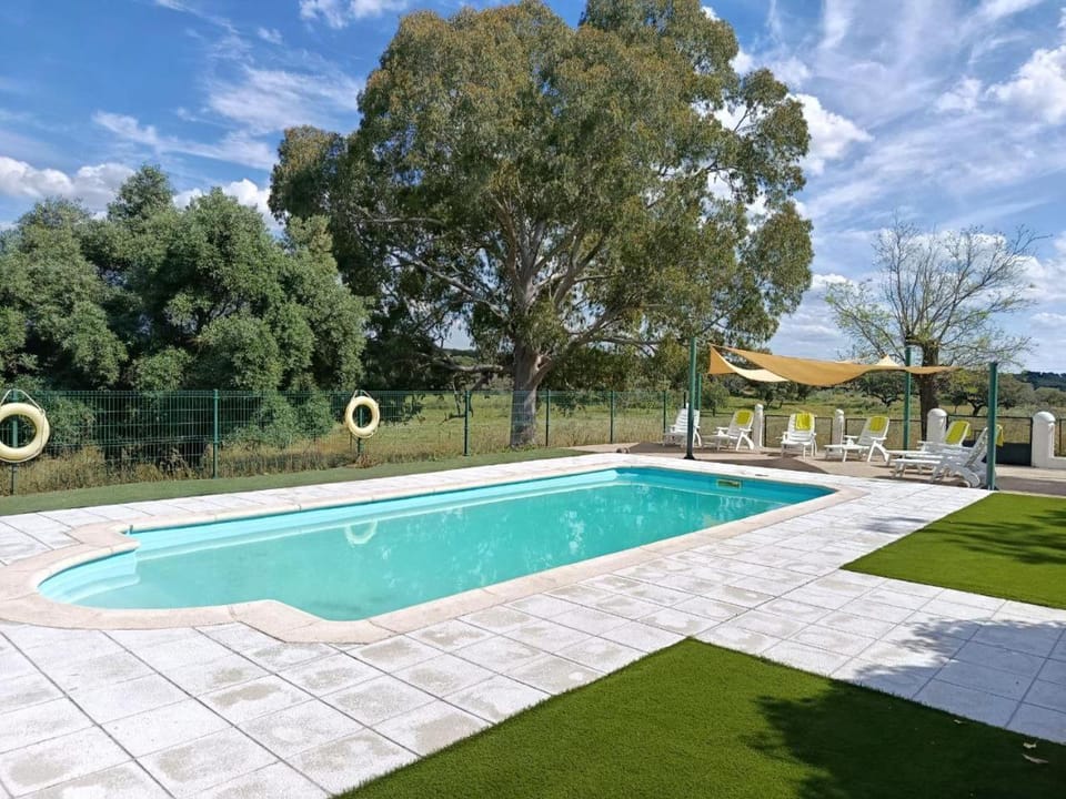 Garden, Garden, Pool view, Swimming pool