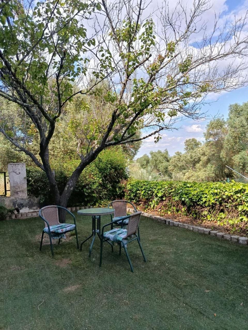 Garden, Garden, Garden view