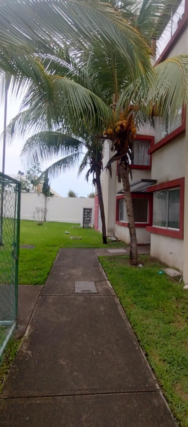 Property building, Garden, Garden view