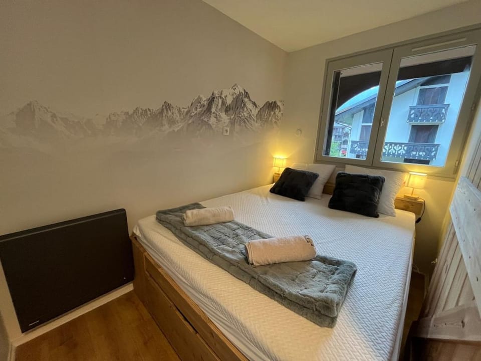 Beautiful cozy and fully renovated apartment Apartment in Chamonix