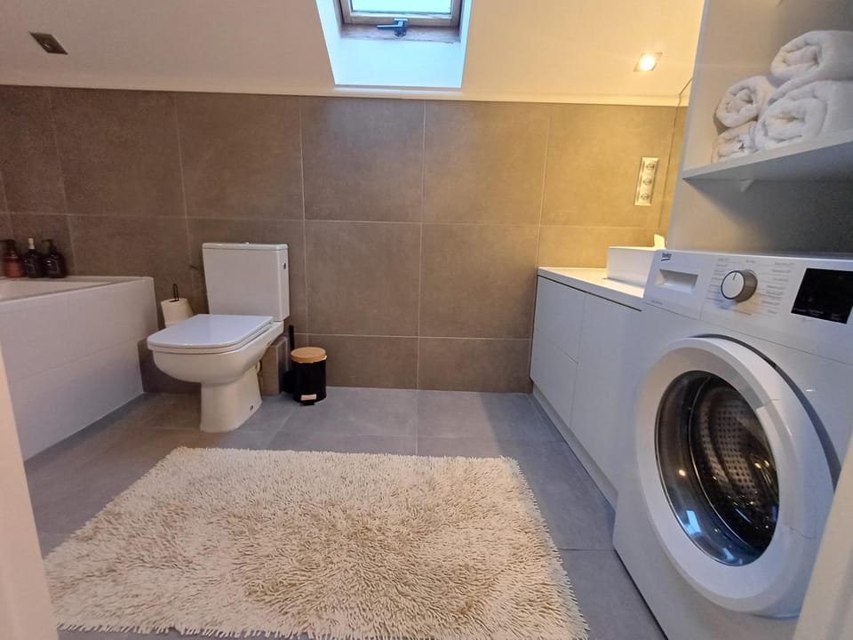 Toilet, washing machine