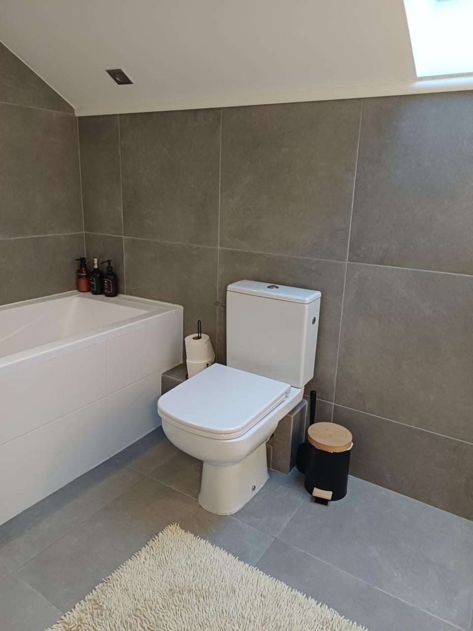 Toilet, Bathroom, Bath