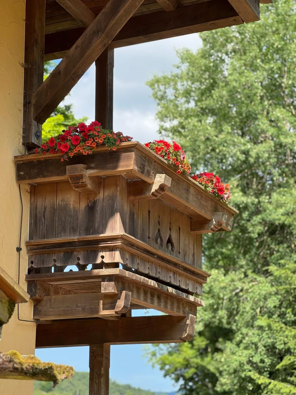 Romantikhotel Alte Wiesen Hotel in Hesse