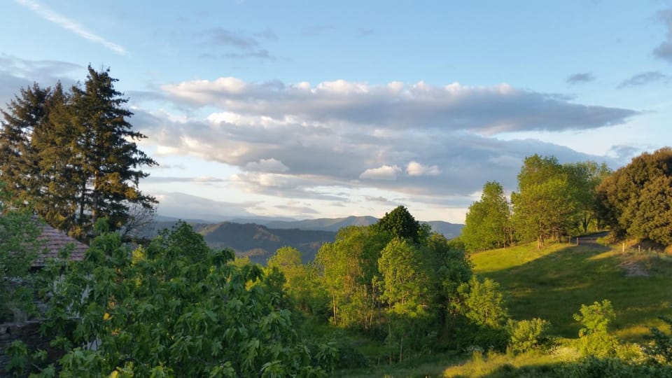 Natural landscape, View (from property/room), Mountain view