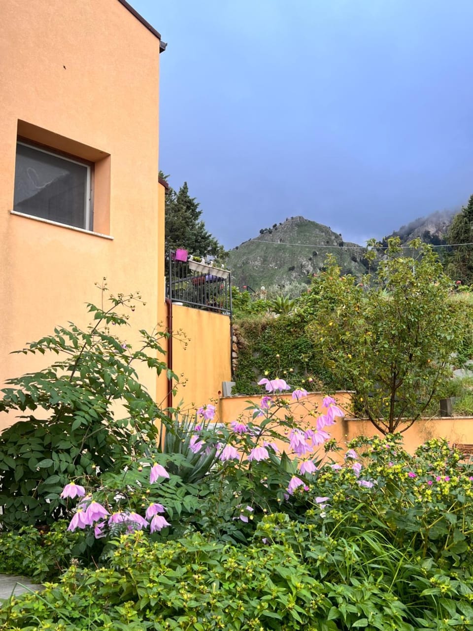Garden view, Mountain view