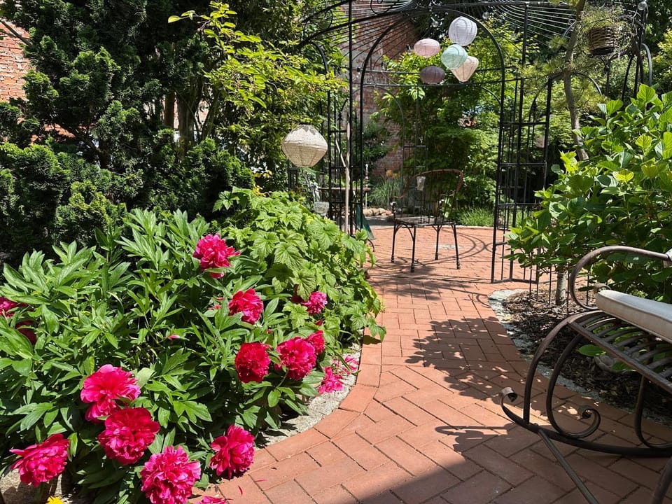 Garden view