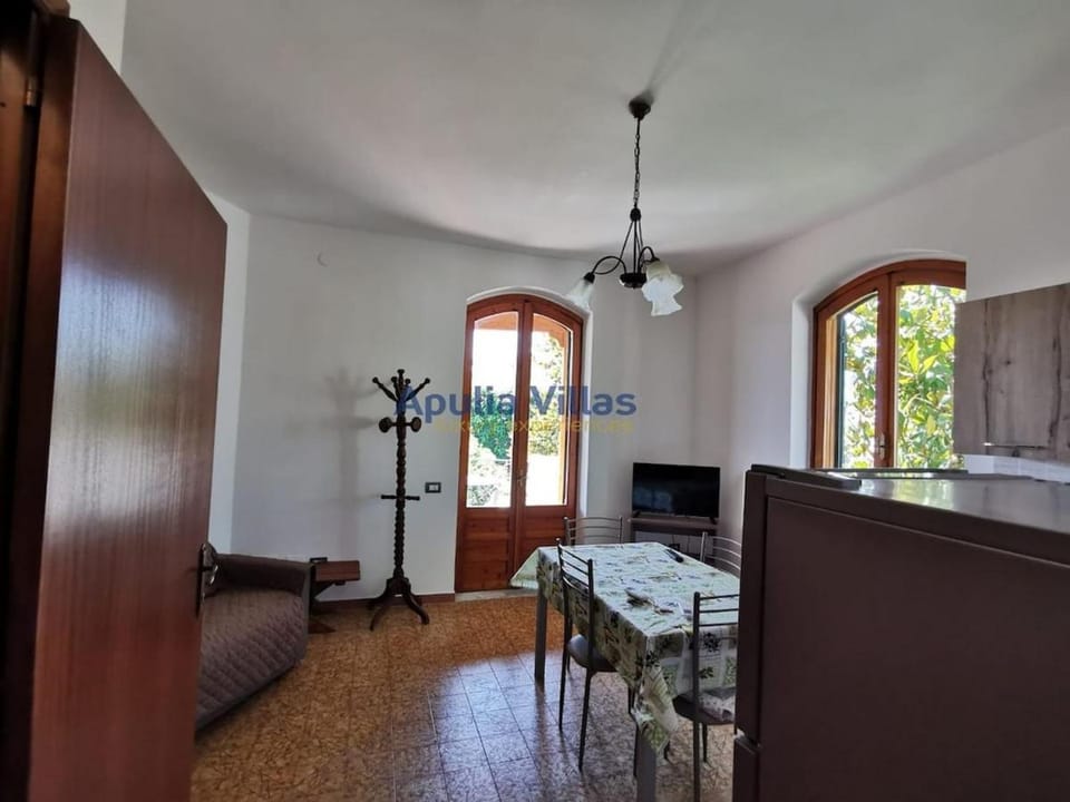 TV and multimedia, Kitchen or kitchenette, Living room, Seating area, Dining area