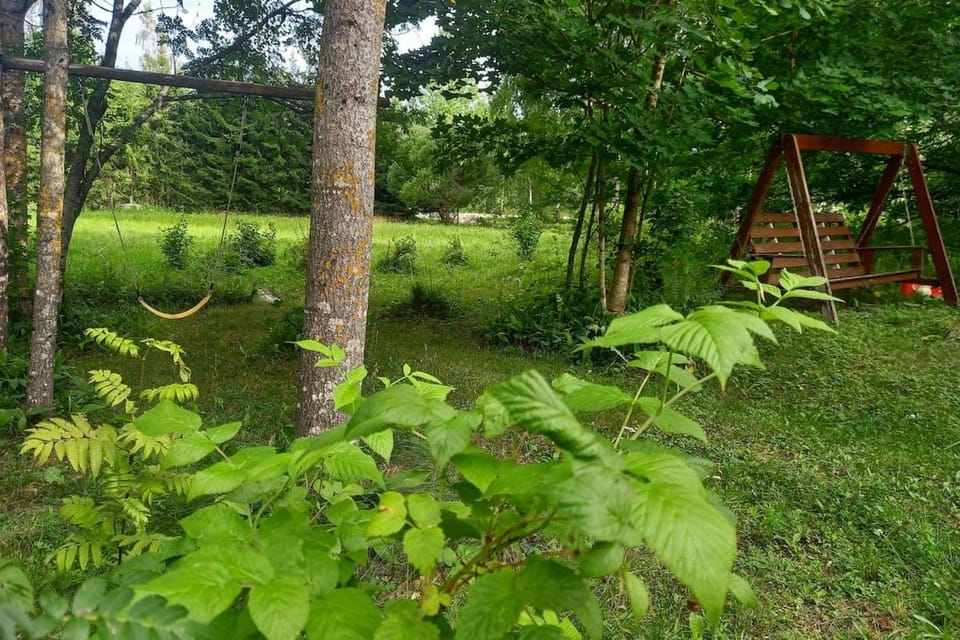 Cottage from the edge of Nuuksio National Park Apartment in Uusimaa