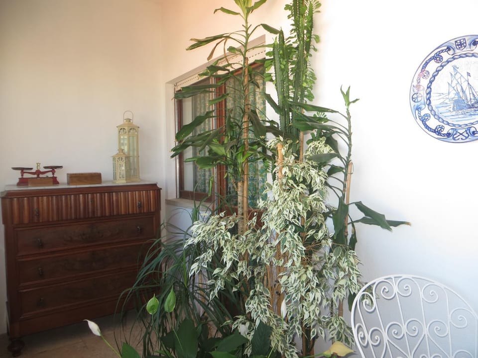 Balcony/Terrace, Bedroom