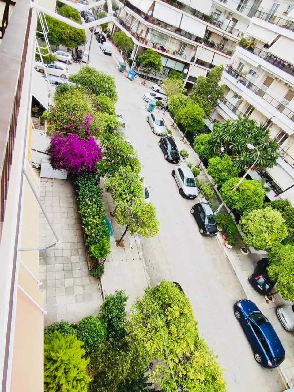 Neighbourhood, City view