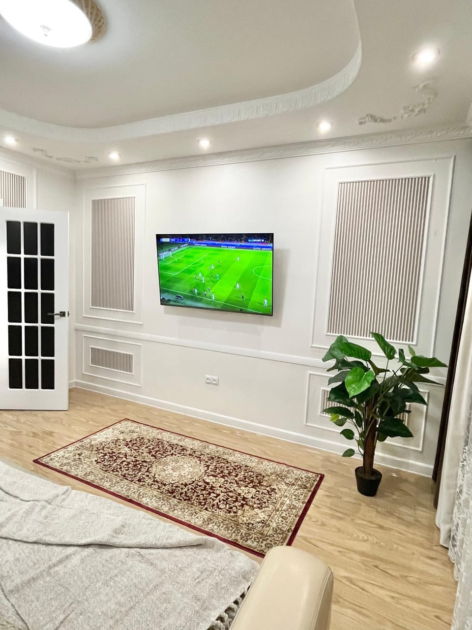 TV and multimedia