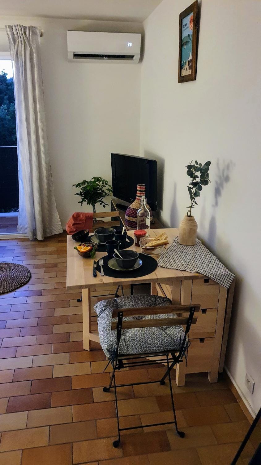 Studio Cocoon Air conditioning, balcony & lake access Apartment in French Riviera