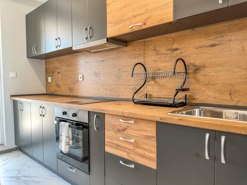 Kitchen or kitchenette, dishwasher, minibar, pet friendly, stove