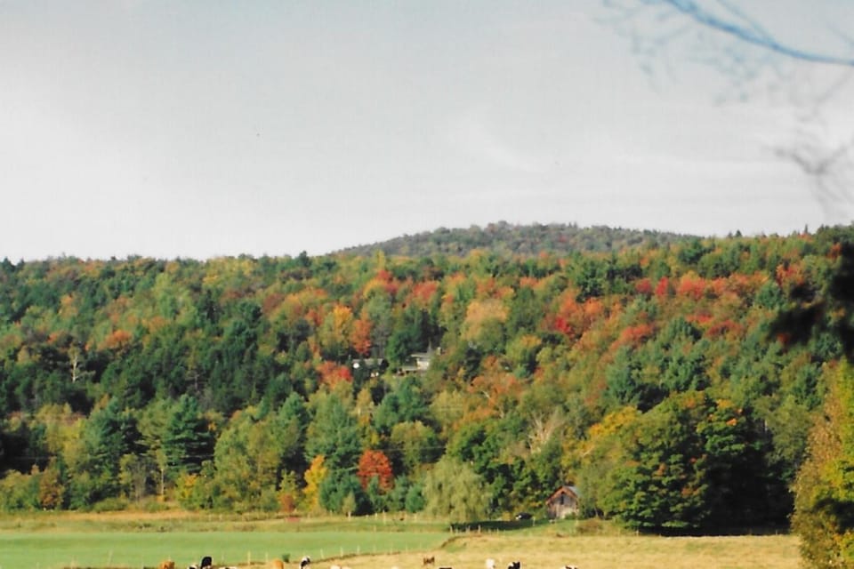West Branch Little River Retreat House in Stowe
