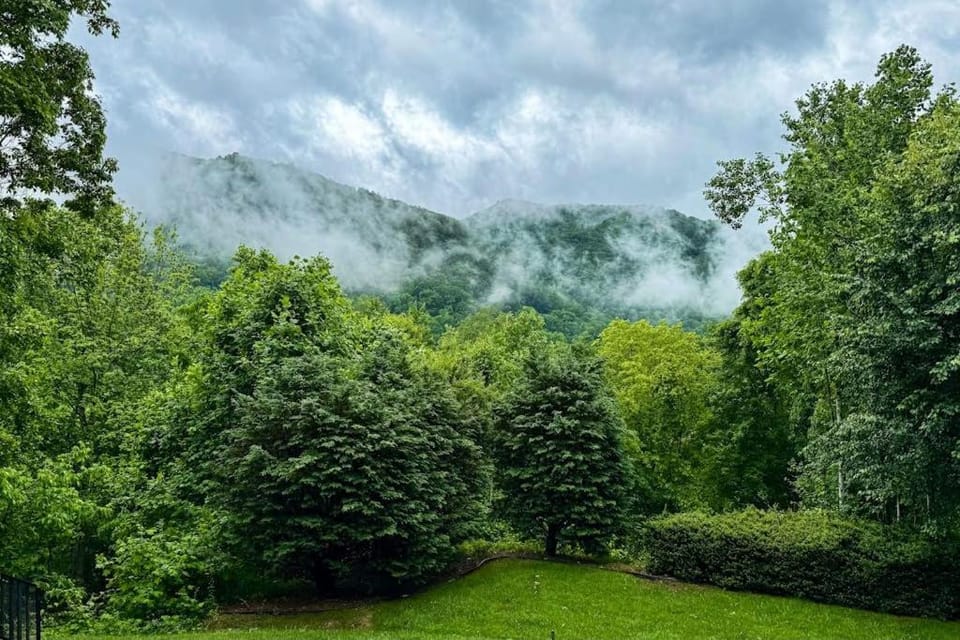 Can't Bear to Leave Mountain House House in Maggie Valley