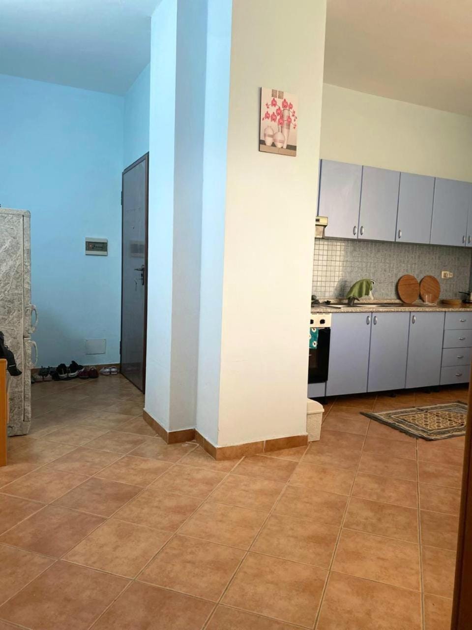 Shtepi pushimi Leo Apartment in Tirana County, Albania