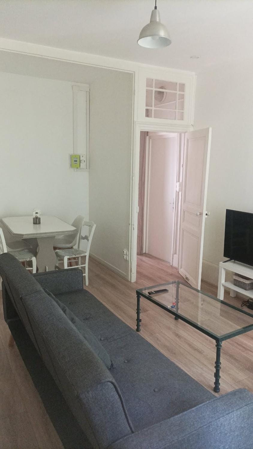 Appartement familial Fleur de coton - centre-ville Apartment in Dijon