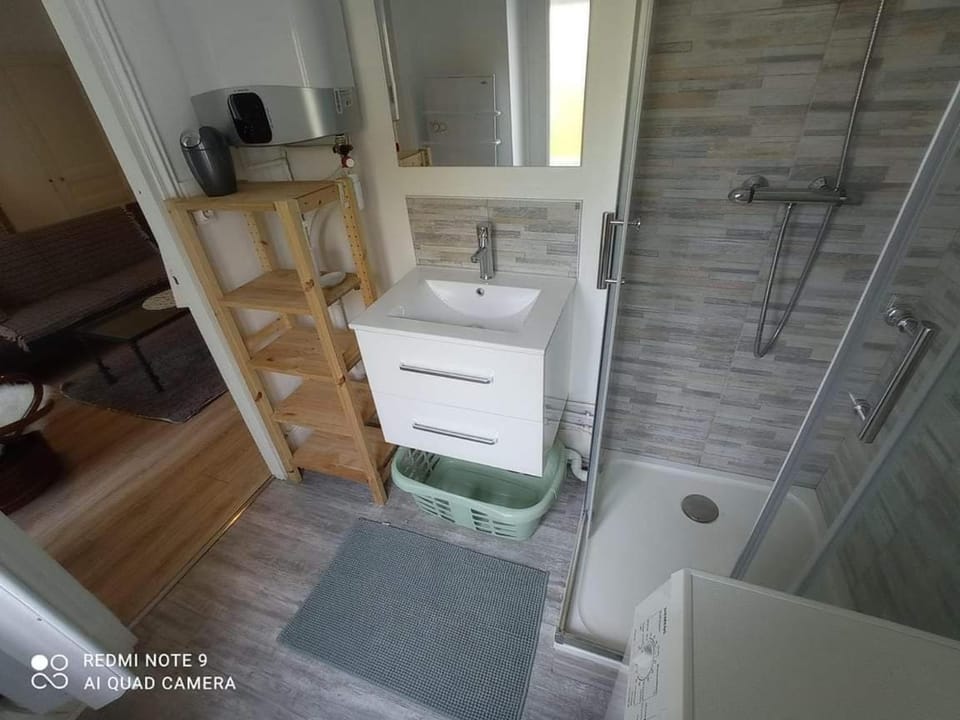 Appartement familial Fleur de coton - centre-ville Apartment in Dijon