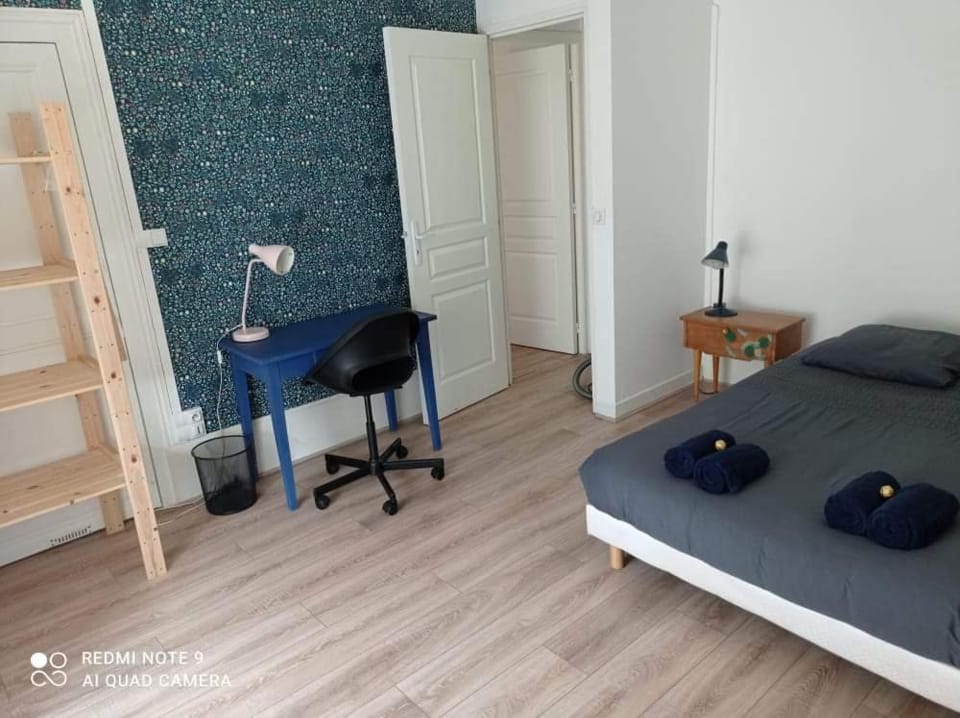 Appartement familial Fleur de coton - centre-ville Apartment in Dijon