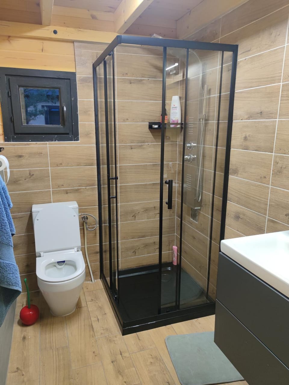 Shower, Toilet, Bathroom