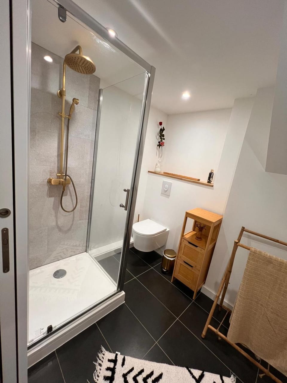 Charming apartment, 100 m2 Apartment in Grand Est