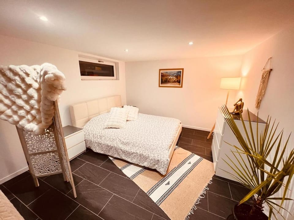 Charming apartment, 100 m2 Apartment in Grand Est