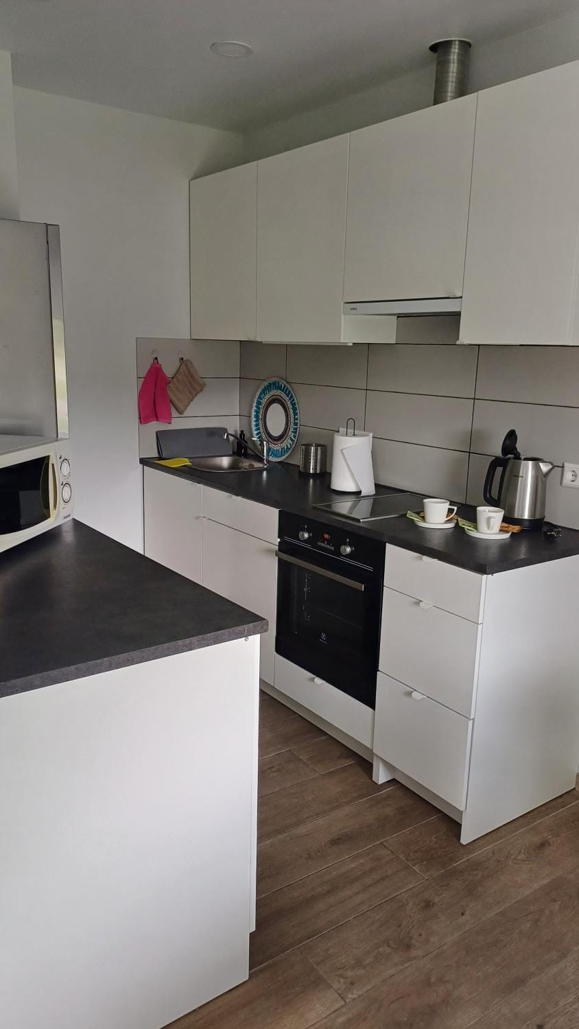 Lake apartments Apartment in Lithuania
