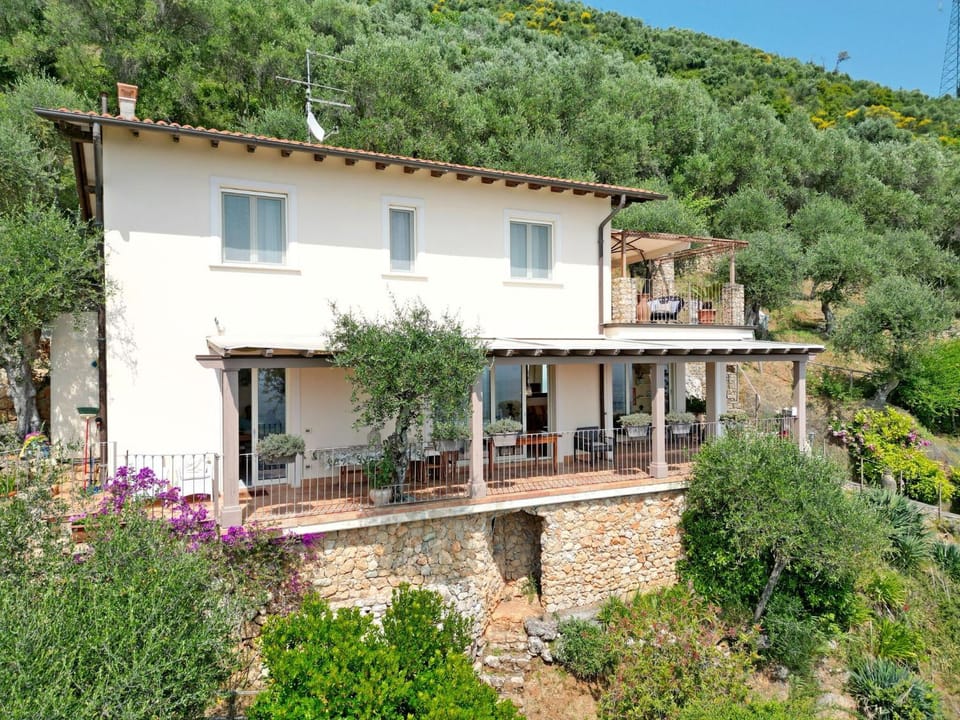 Property building, Garden, On site