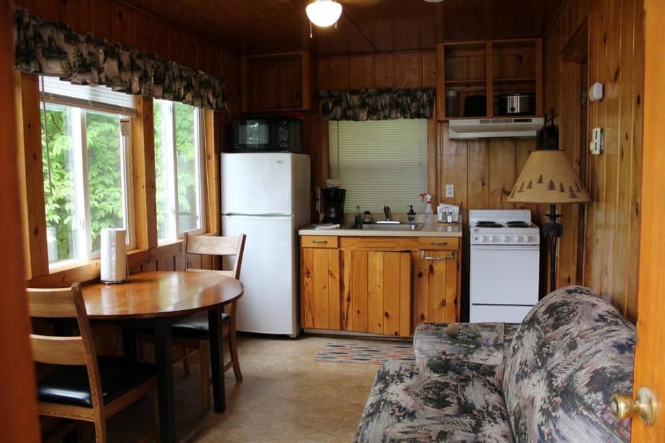 Cabin 1 - Cozy cabin 10 feet from the shore Cabin in Minnesota
