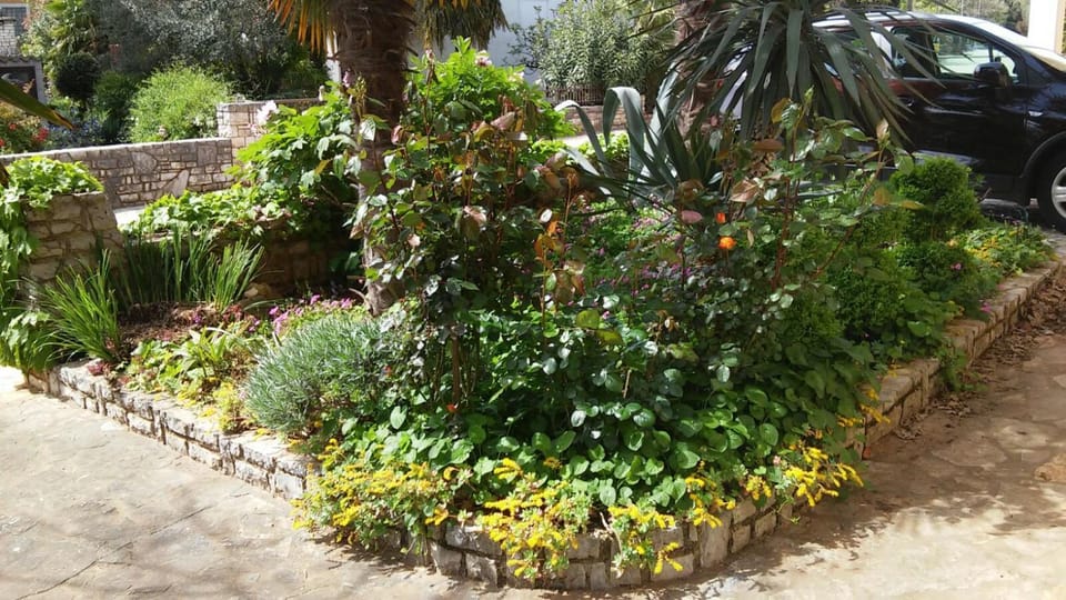 Property building, Garden