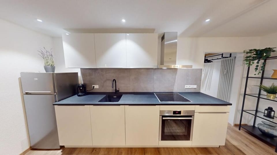Kitchen or kitchenette, dishwasher, oven, stove, kitchen