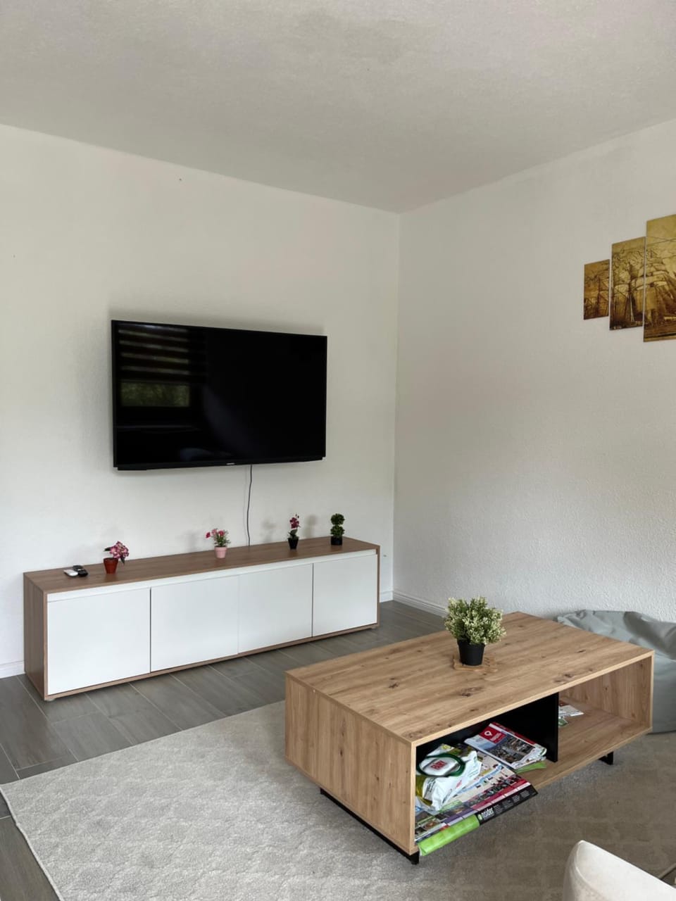 TV and multimedia, Living room