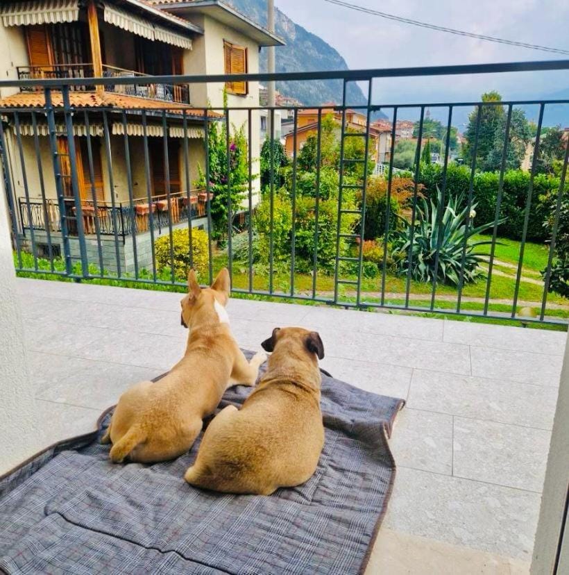 Bird's eye view, View (from property/room), View (from property/room)