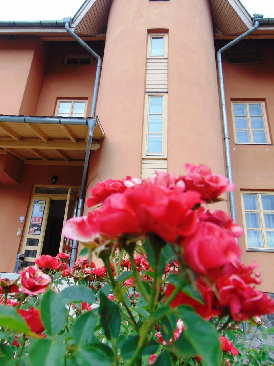 Property building, Facade/entrance, Garden