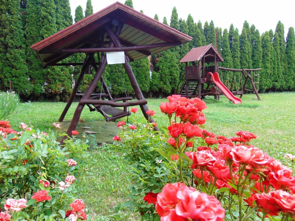 Children play ground, Garden