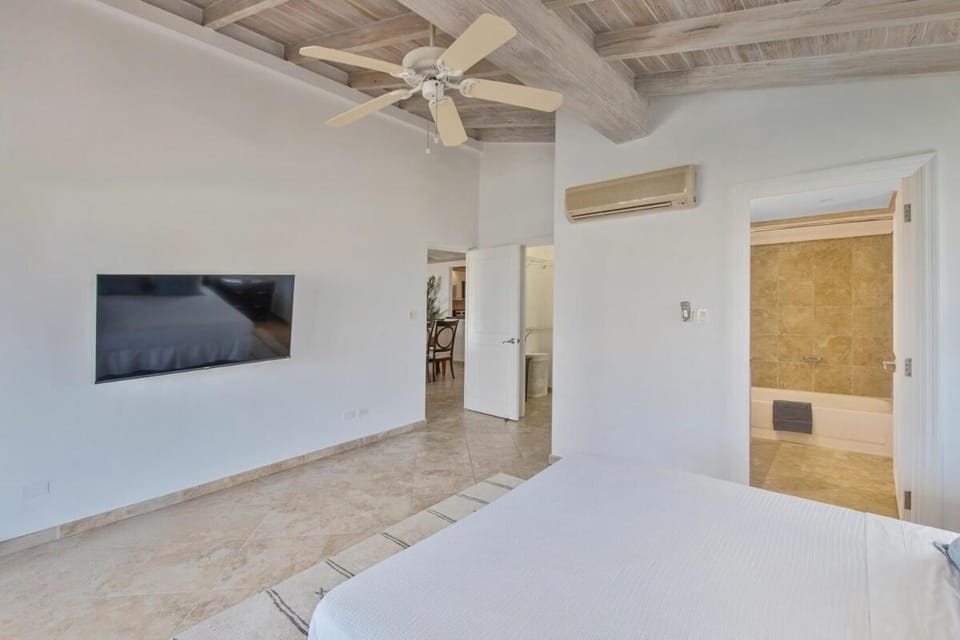 401 Terraces Ocean View Penthouse Apartment in Oistins