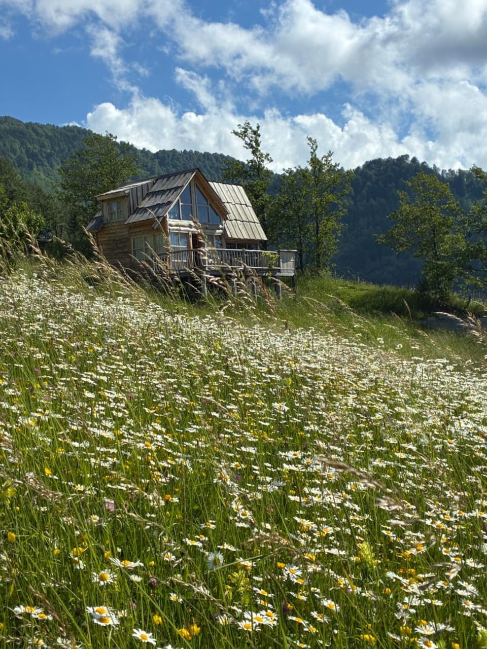 JUSA ჯუსა House in Adjara, Georgia
