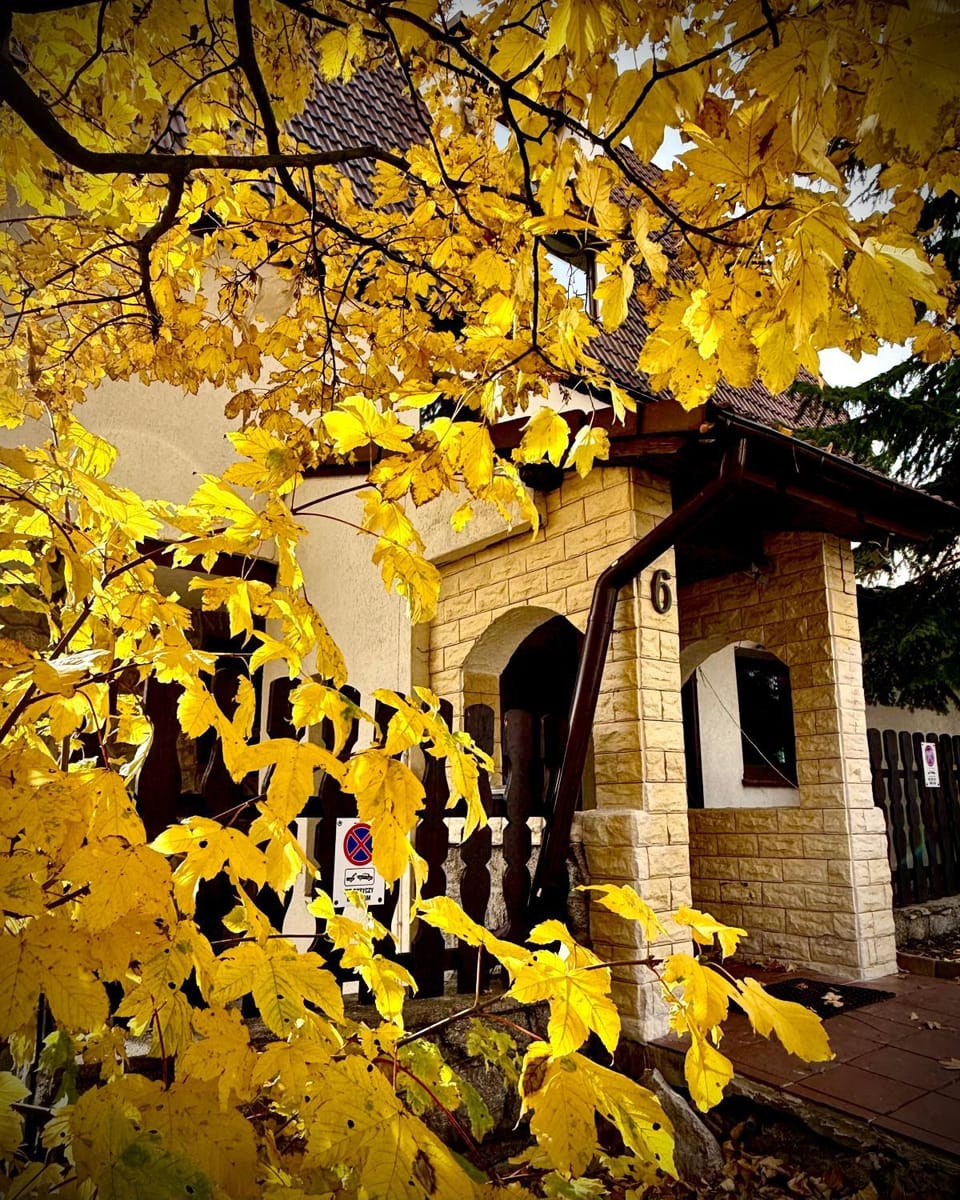 Property building, Facade/entrance, Day, Autumn