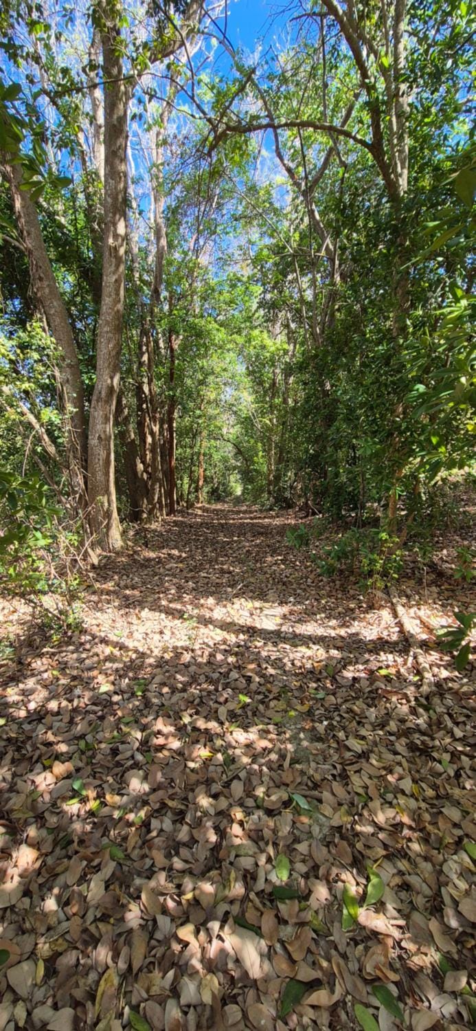 Domaine de la Tour Villa in Grande-Terre, Guadeloupe