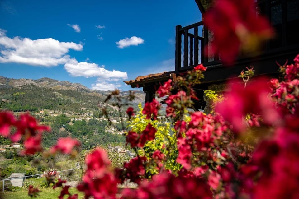 Natural landscape, View (from property/room), Mountain view