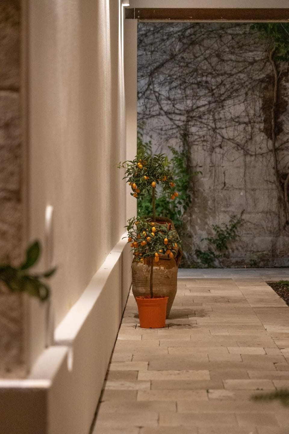 Garden, Garden view