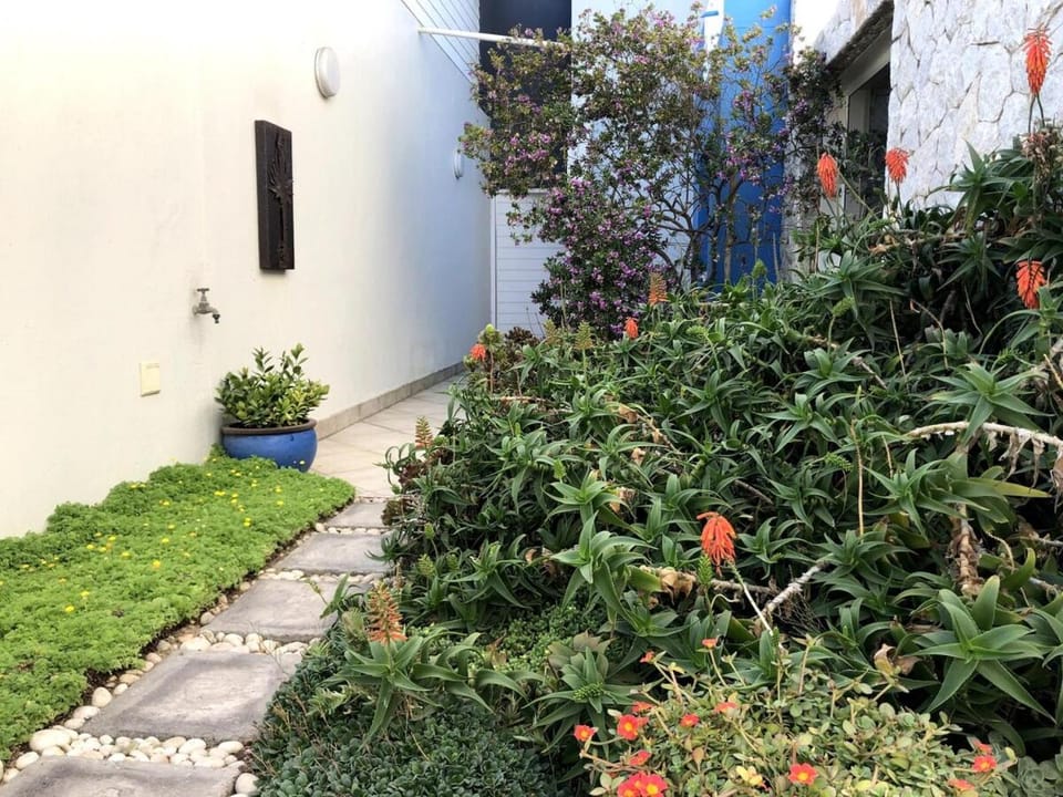 Property building, Garden view